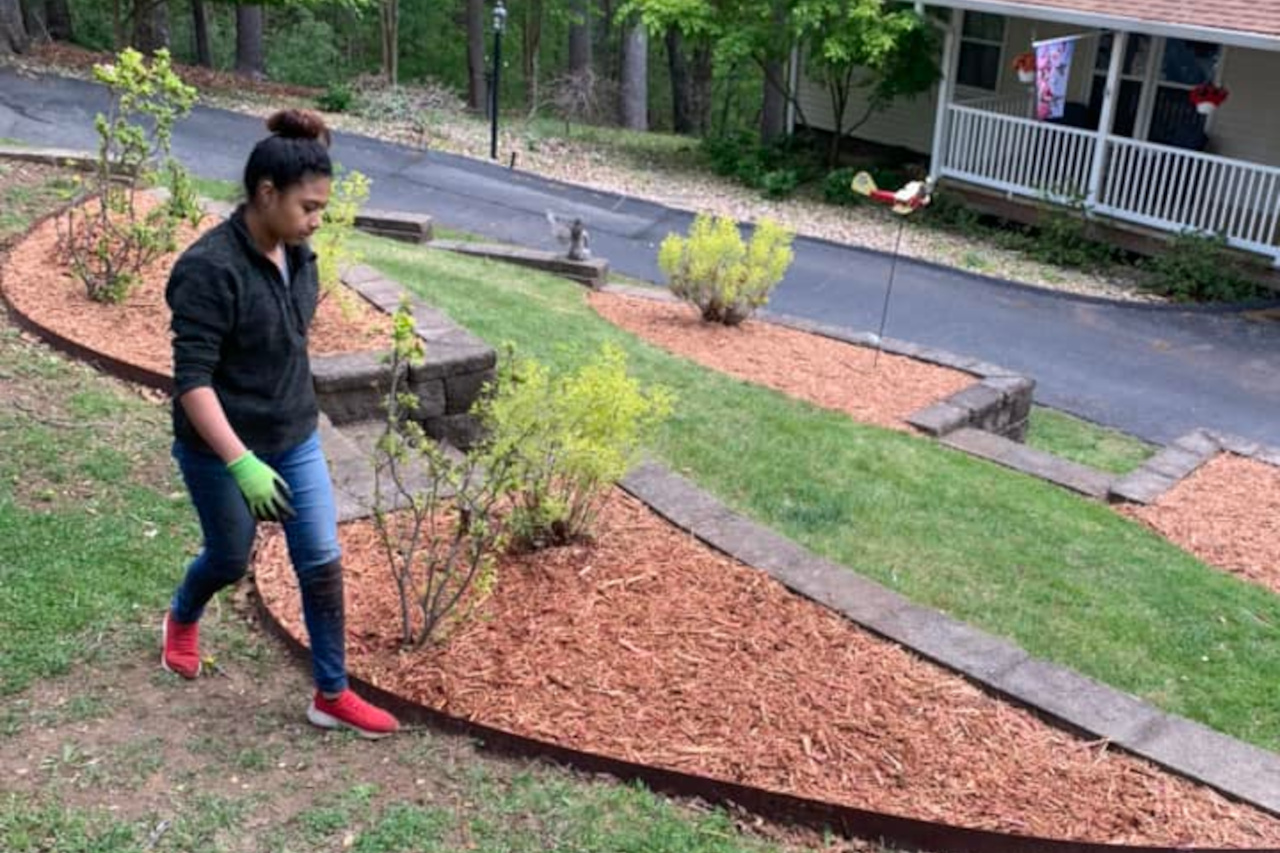 consistent lawncare