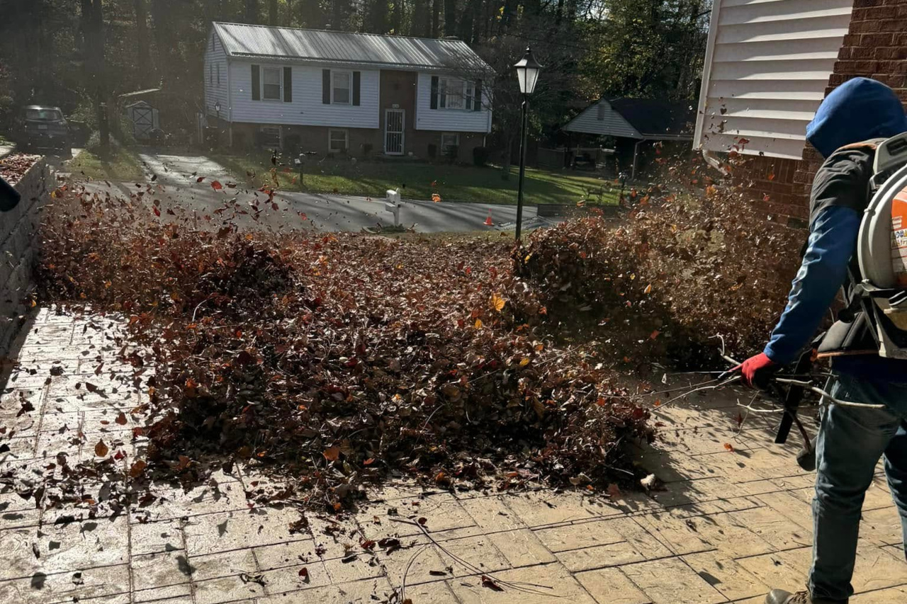 leafblowing