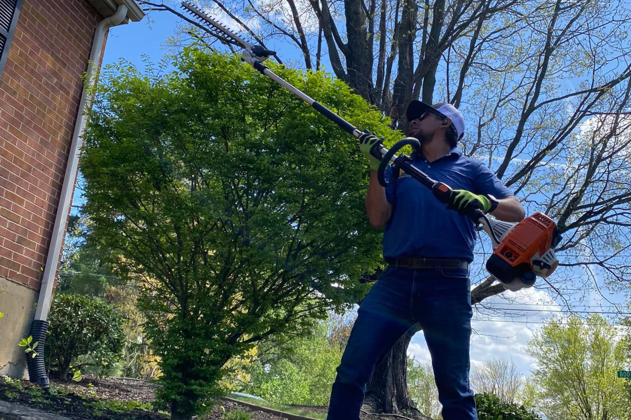 trimming